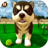 mr jack bet apk