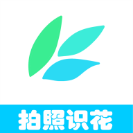 《音速小子》電影重製動畫公司驚傳關閉分部，員工恐面臨失業聖誕節